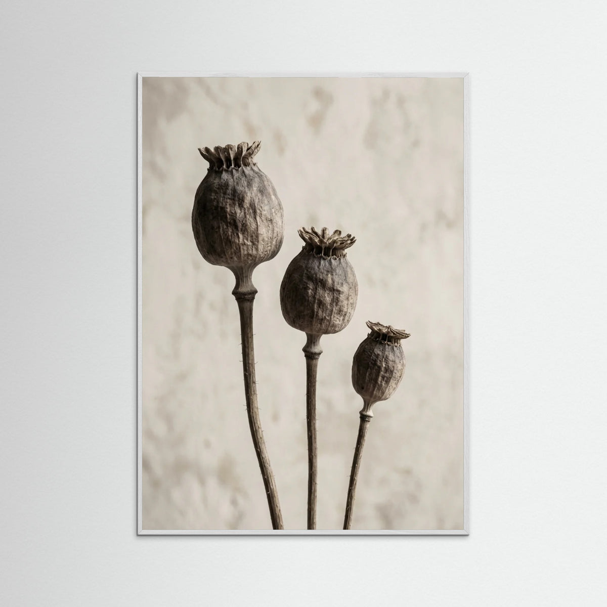 White Wood Aged Botanica