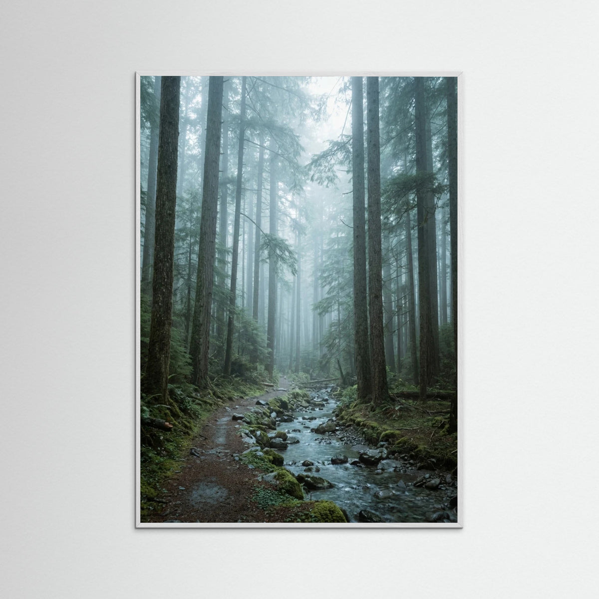 White Wood Alpine Reflection