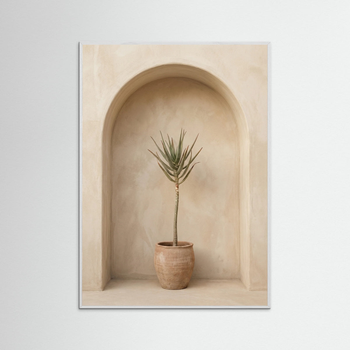 White Wood Arched Olive Serenity