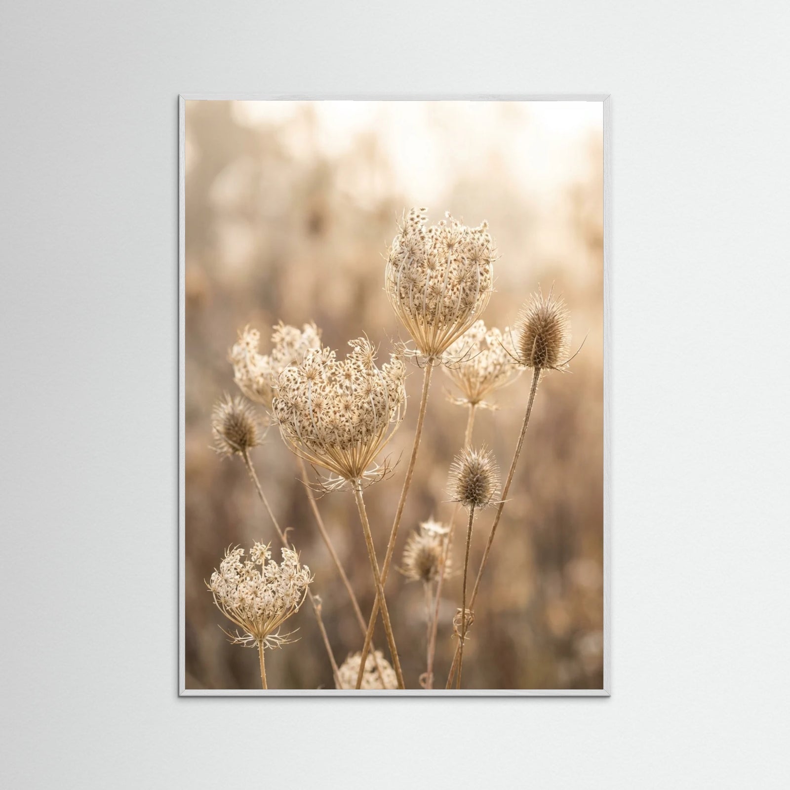 White Wood Autumn Whispers