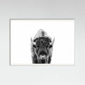 Póster Bison Bw – póster e impresión artística