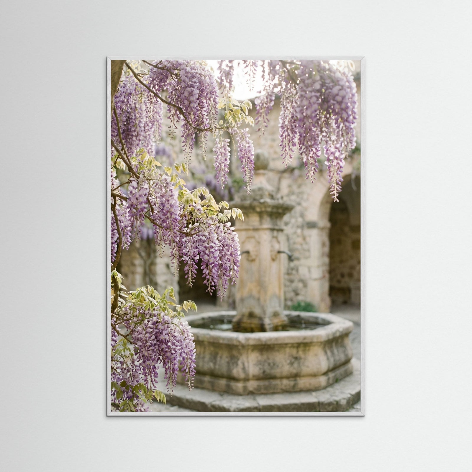 White Wood Blossom Entrance