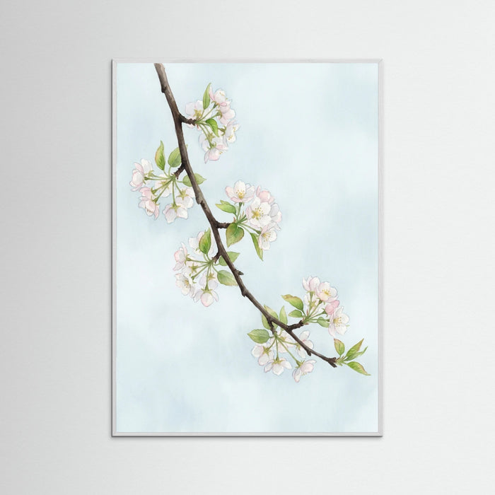 White Wood Blossoms Serenity