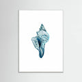 Blue Seashell On White Background No4 Poster – poster och konsttryck