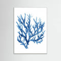 Bluecoral(watercolor) Poster – plakat og kunsttryk