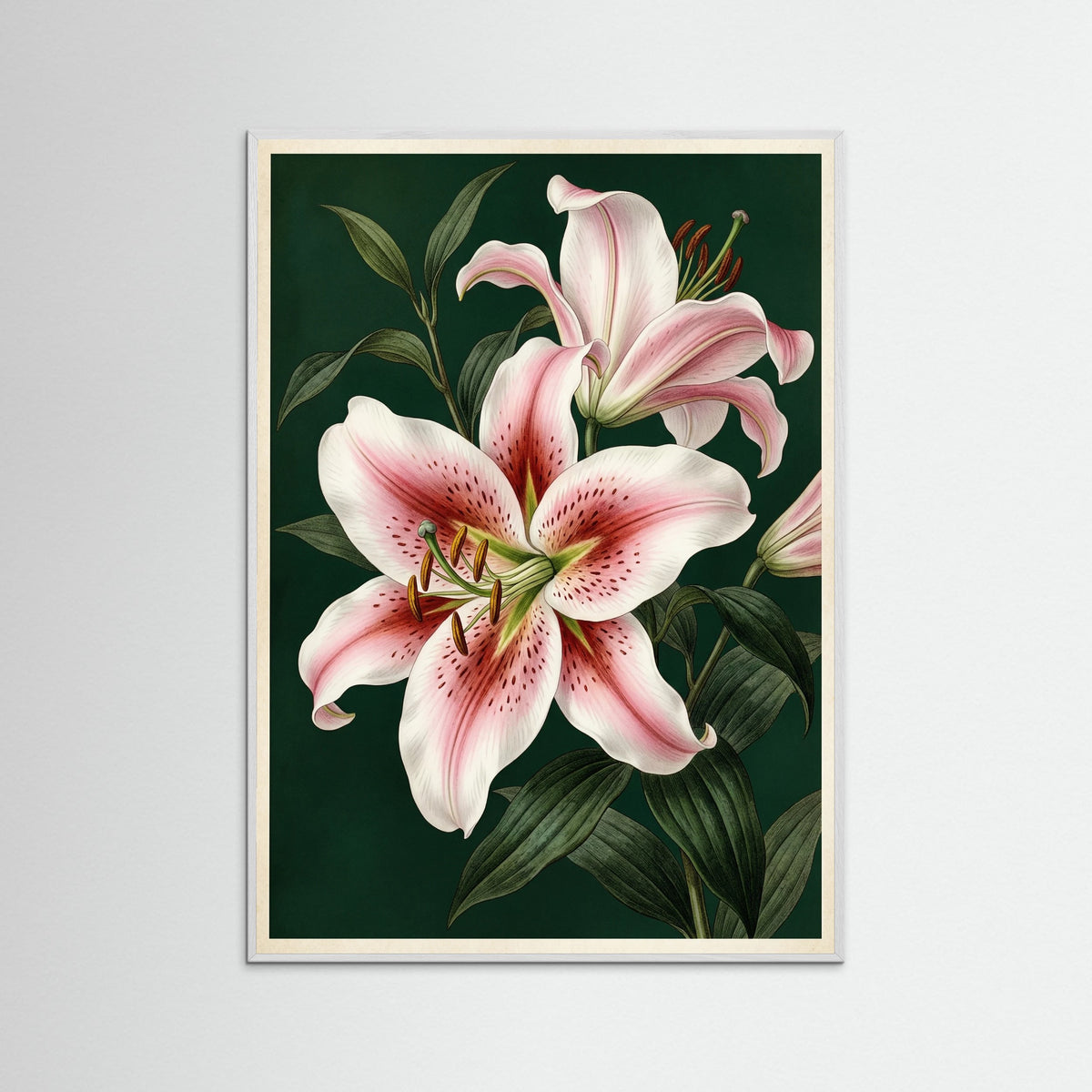 White Wood Blushing Peony Blossom