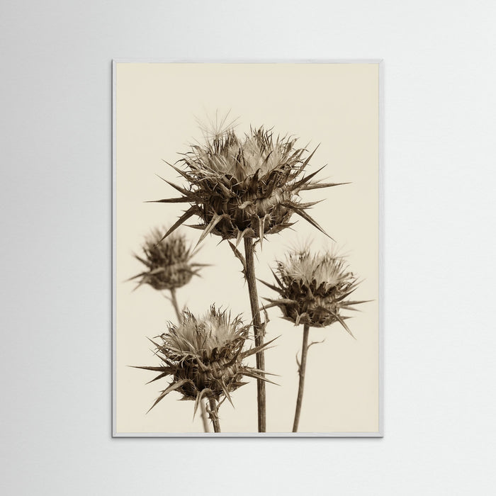 White Wood Botanical Elegance