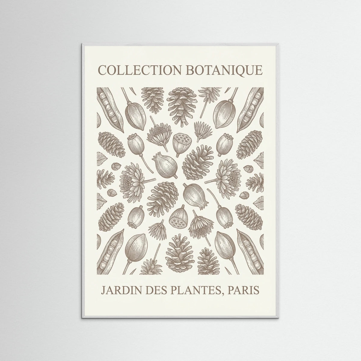 White Wood Botanical Etchings