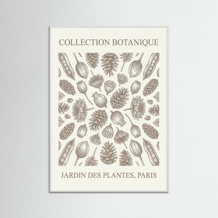 White Wood Botanical Etchings