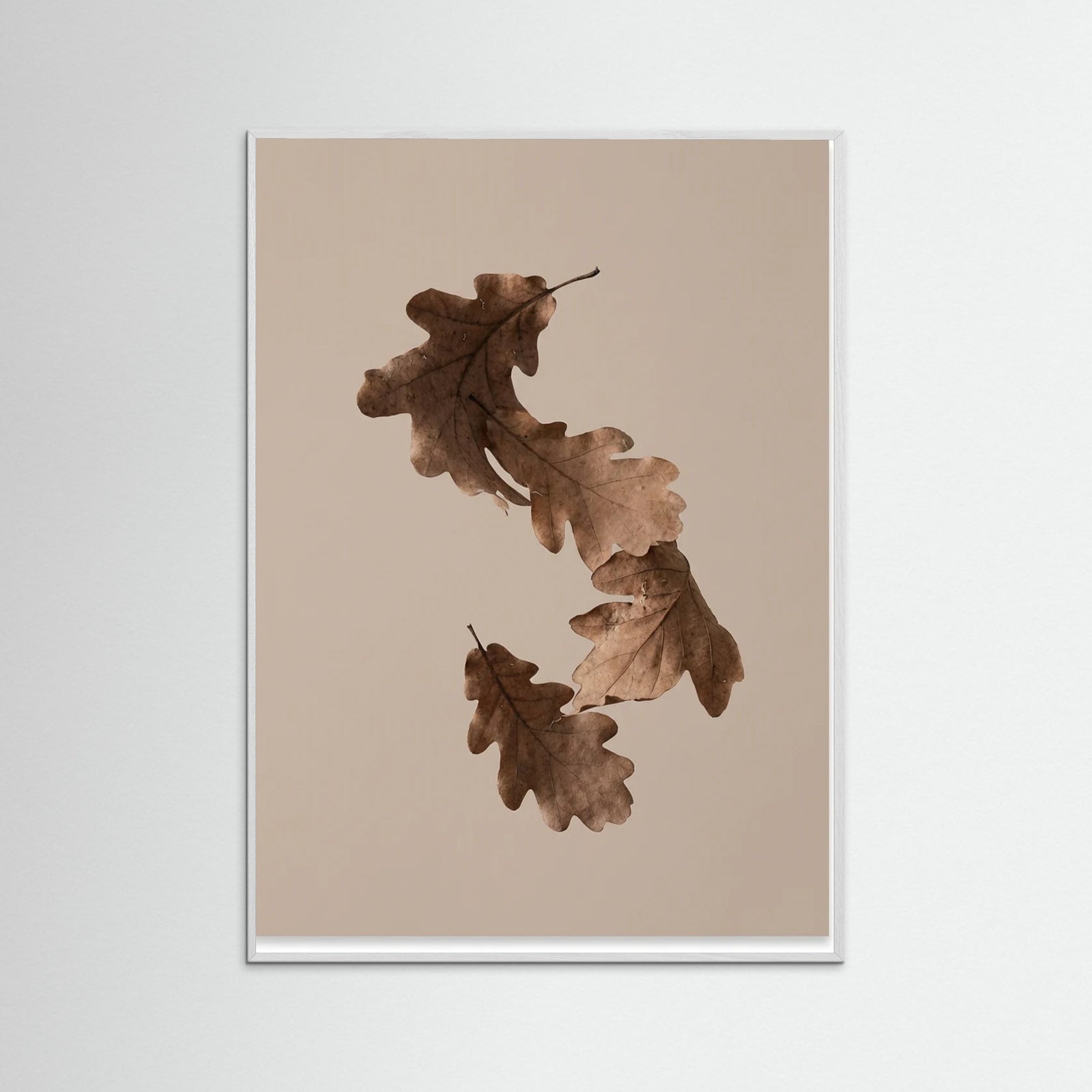 White Wood Botanical Forms