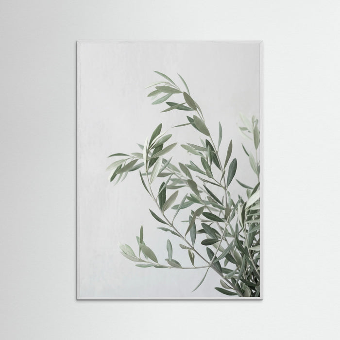 White Wood Botanical Grace