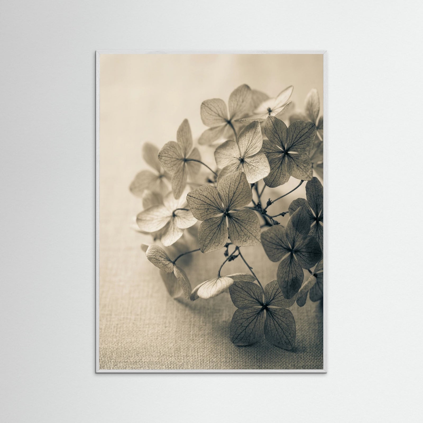 White Wood Botanical Whispers