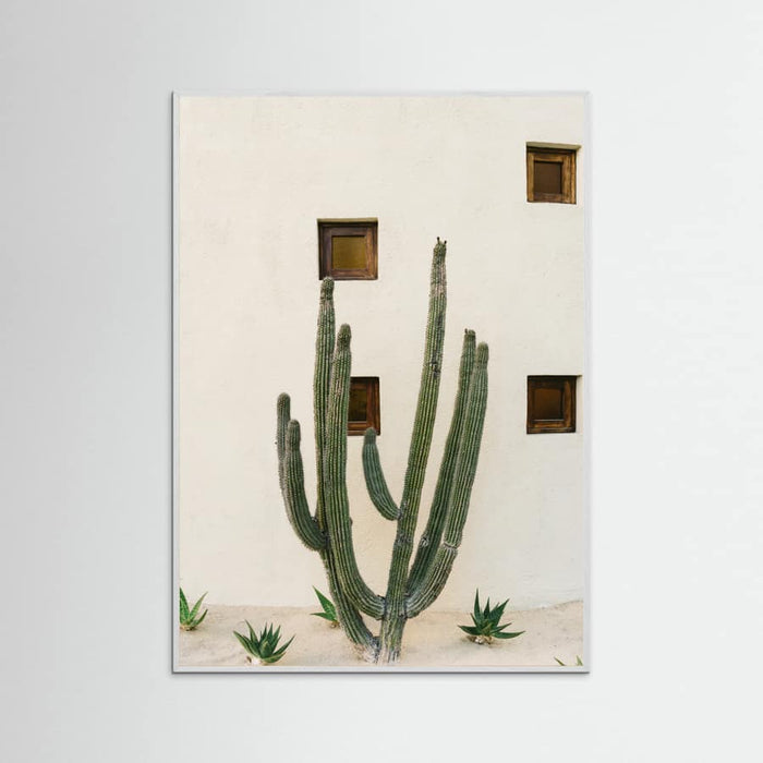 White Wood Cabo Cactus IX Poster