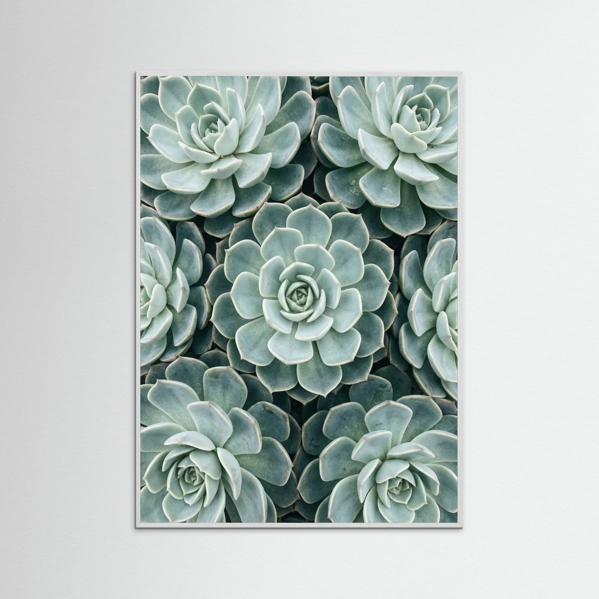 White Wood Cactus Array