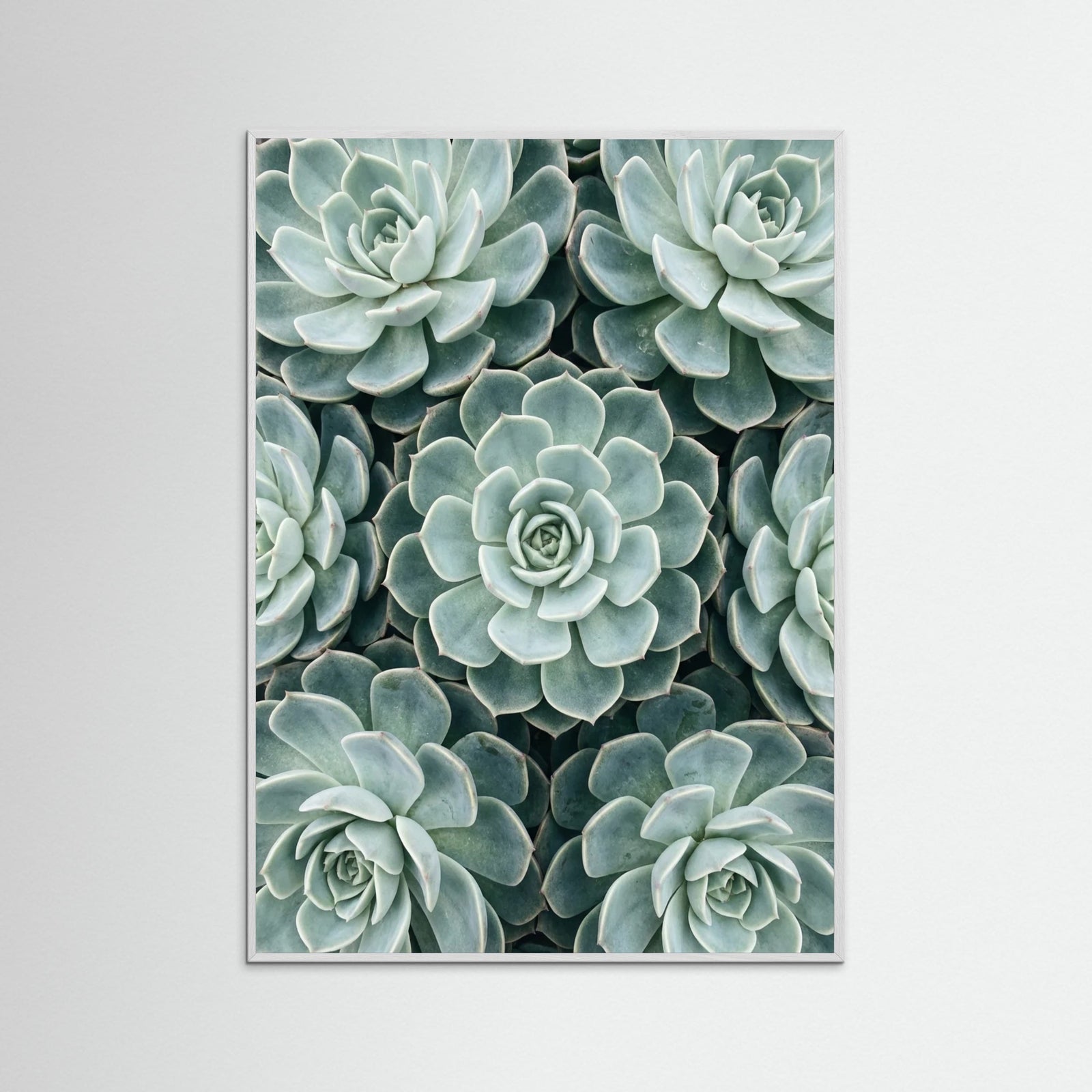 White Wood Cactus Array