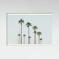 Póster Cali Palms – póster e impresión artística