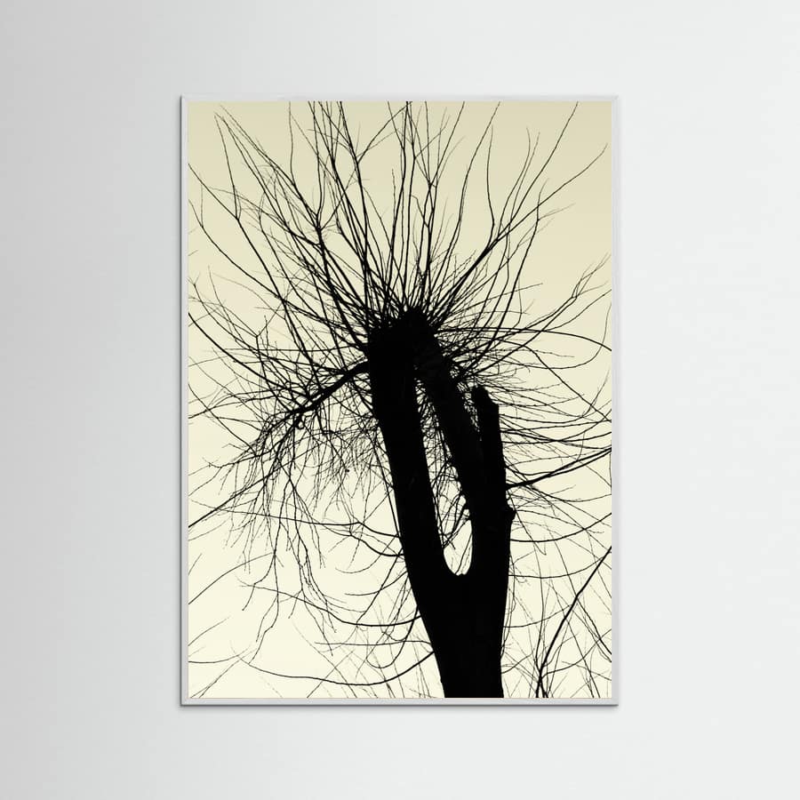 City Range 24 -juliste – juliste ja taidepainatus