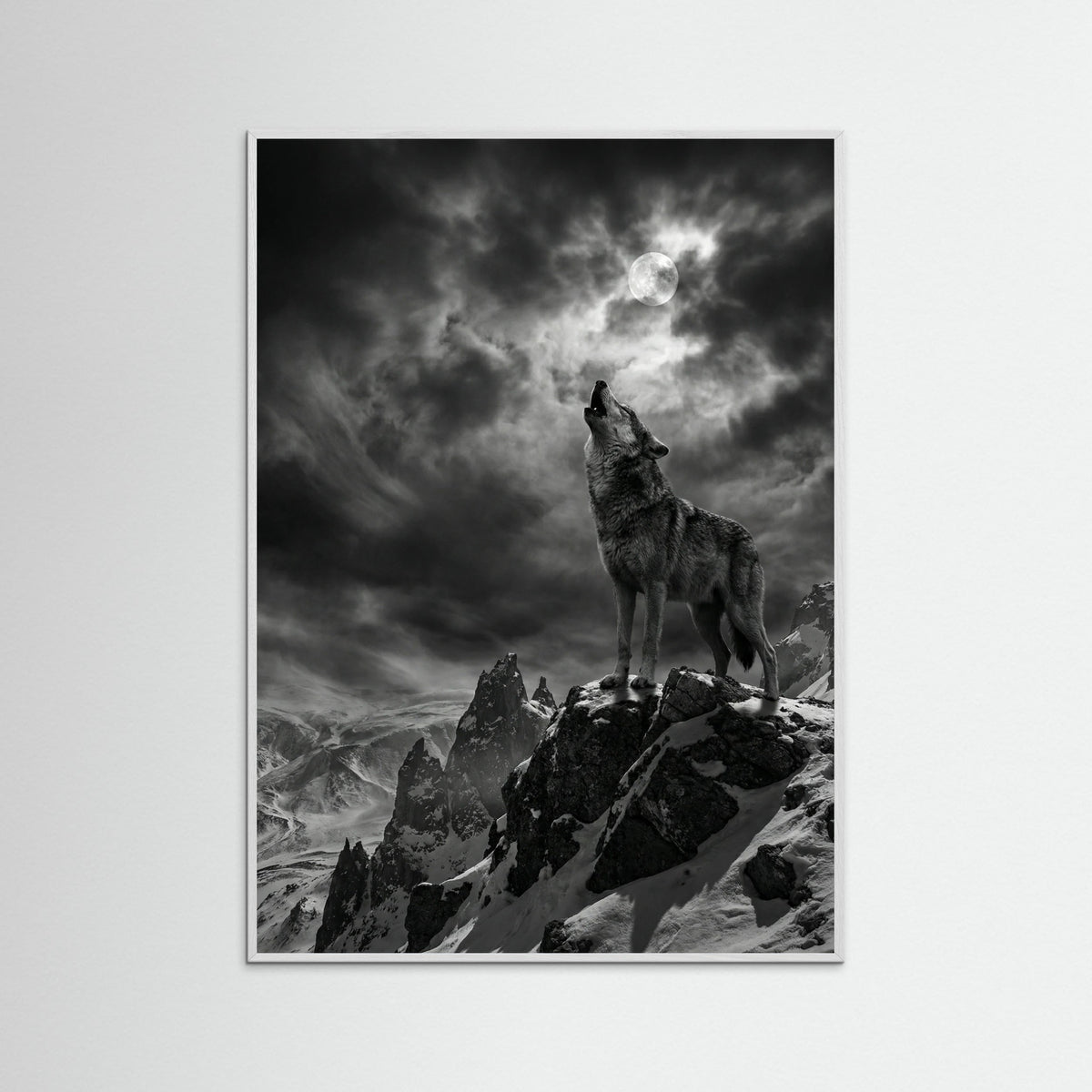 White Wood Coastal Majesty