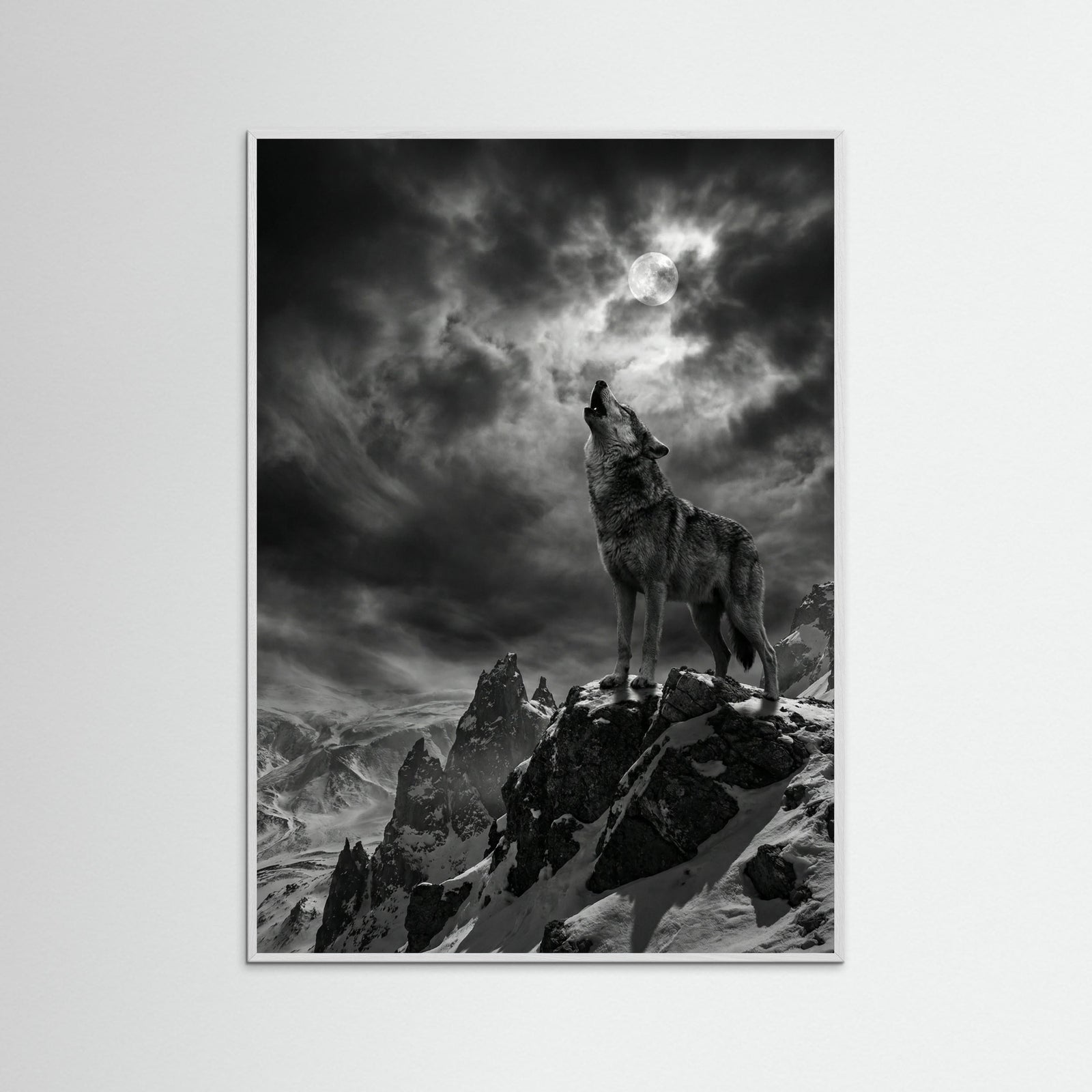 White Wood Coastal Majesty