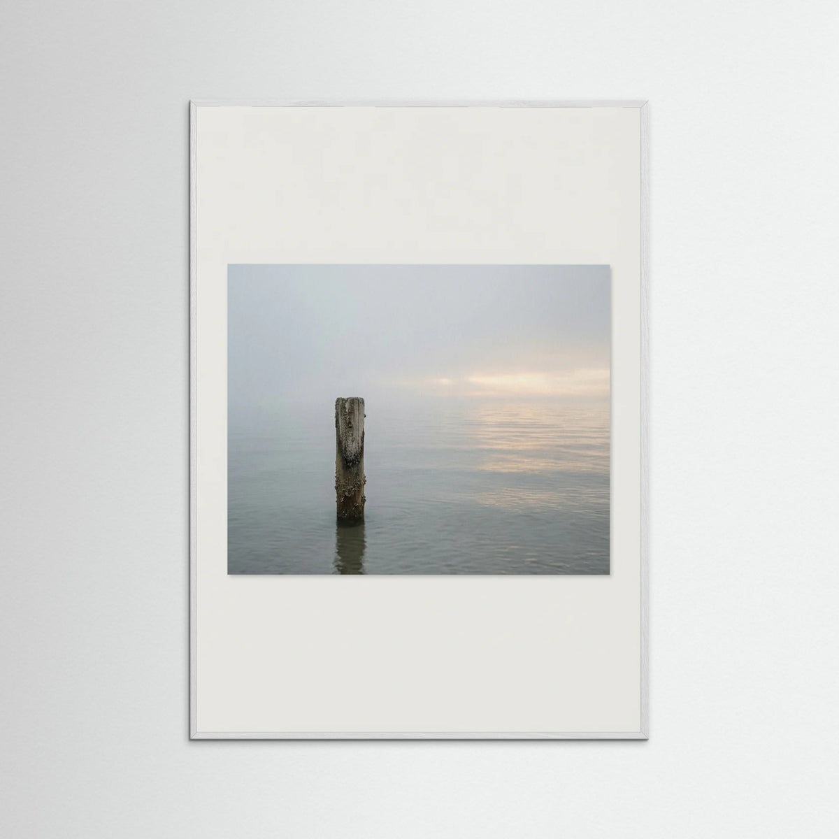 White Wood Coastal Paths