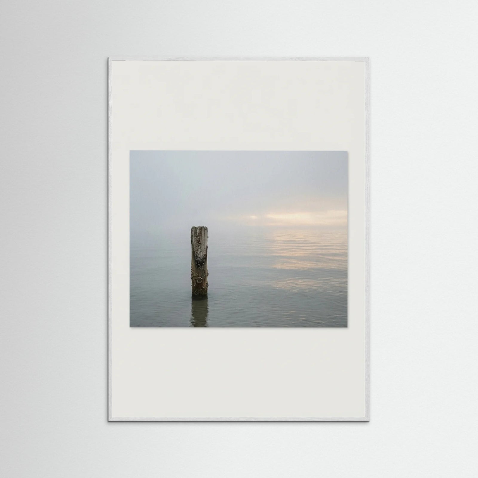 White Wood Coastal Paths