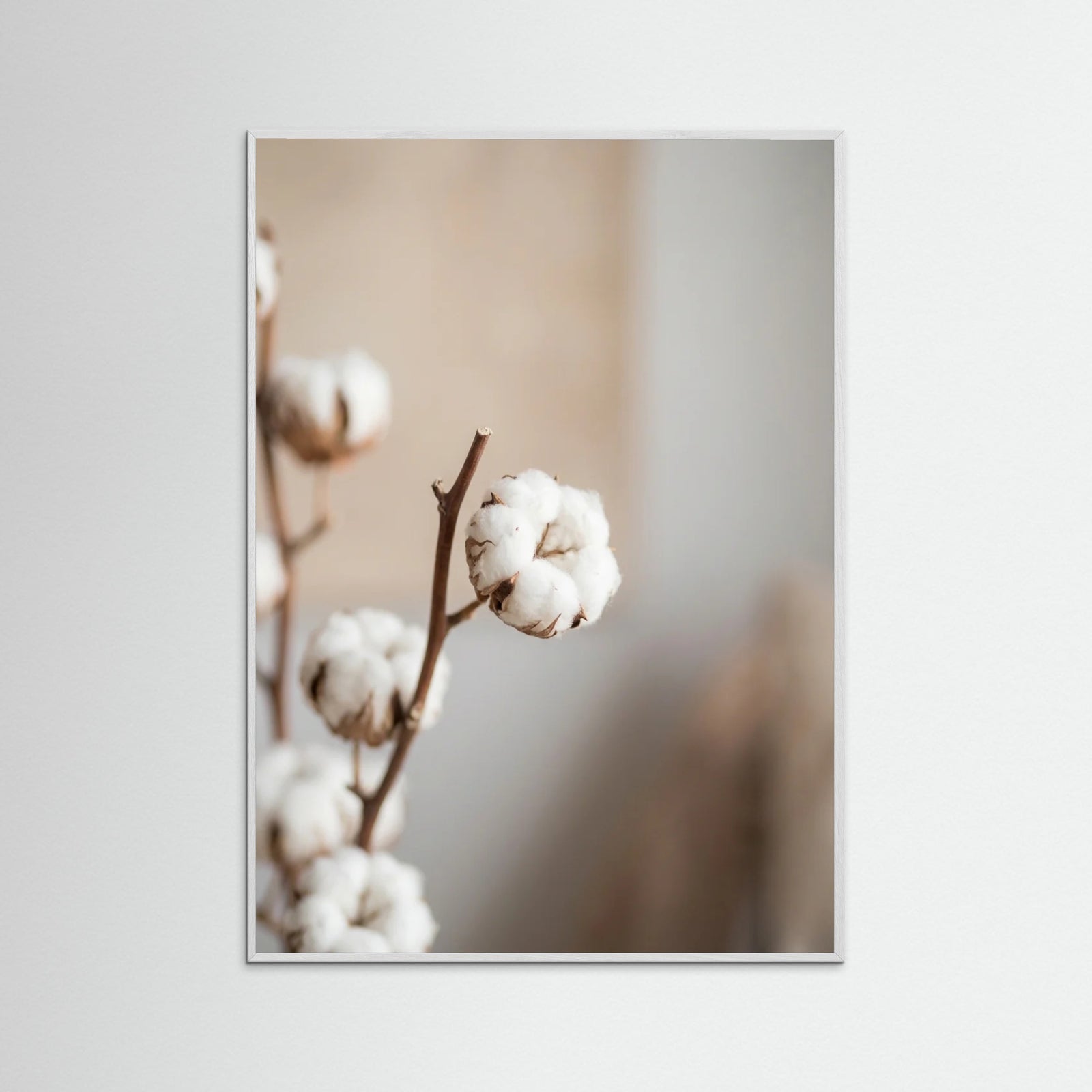 White Wood Coastal Serenity