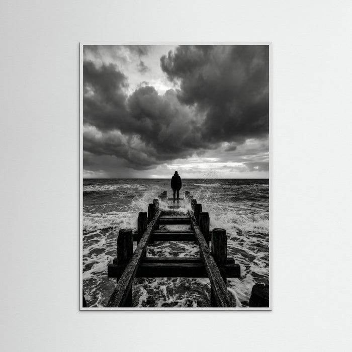White Wood Coastal Solitude
