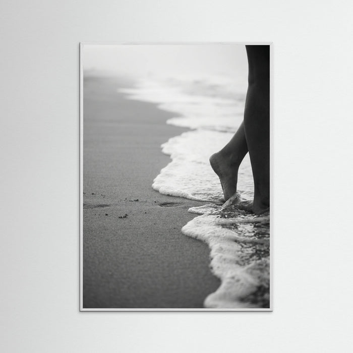 White Wood Coastal Wanderer