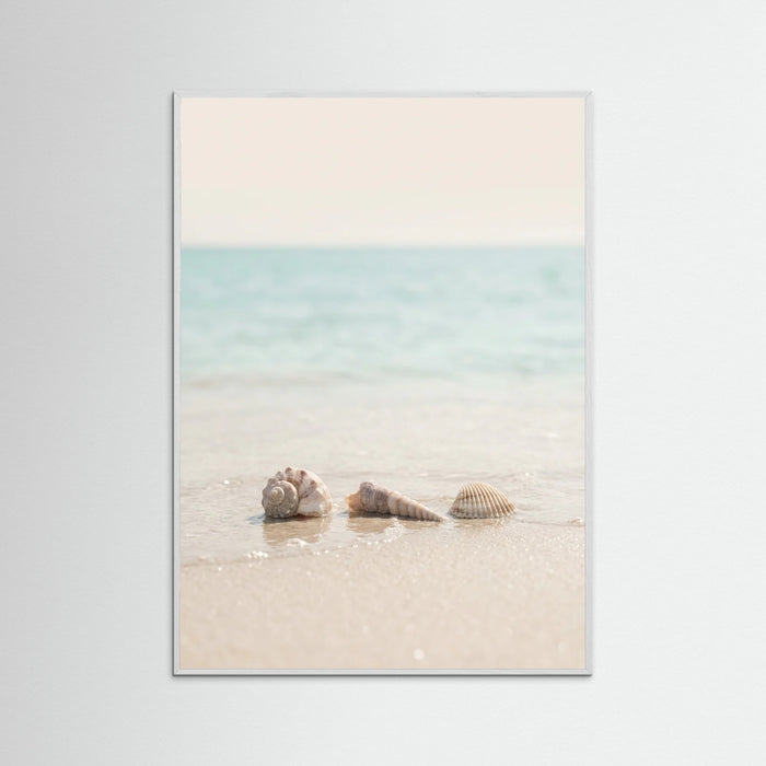 White Wood Coastals Serenity