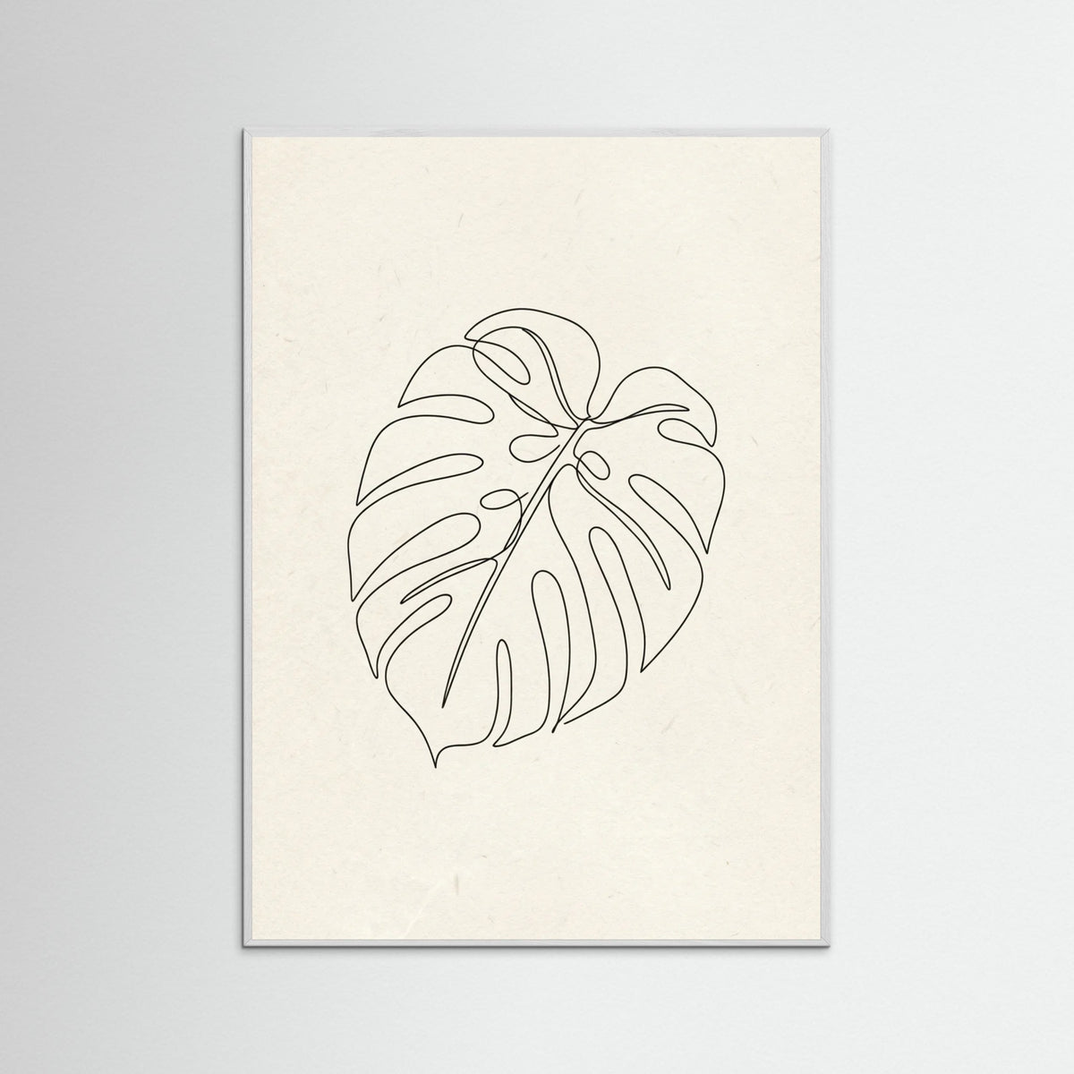 White Wood Contour Gaze