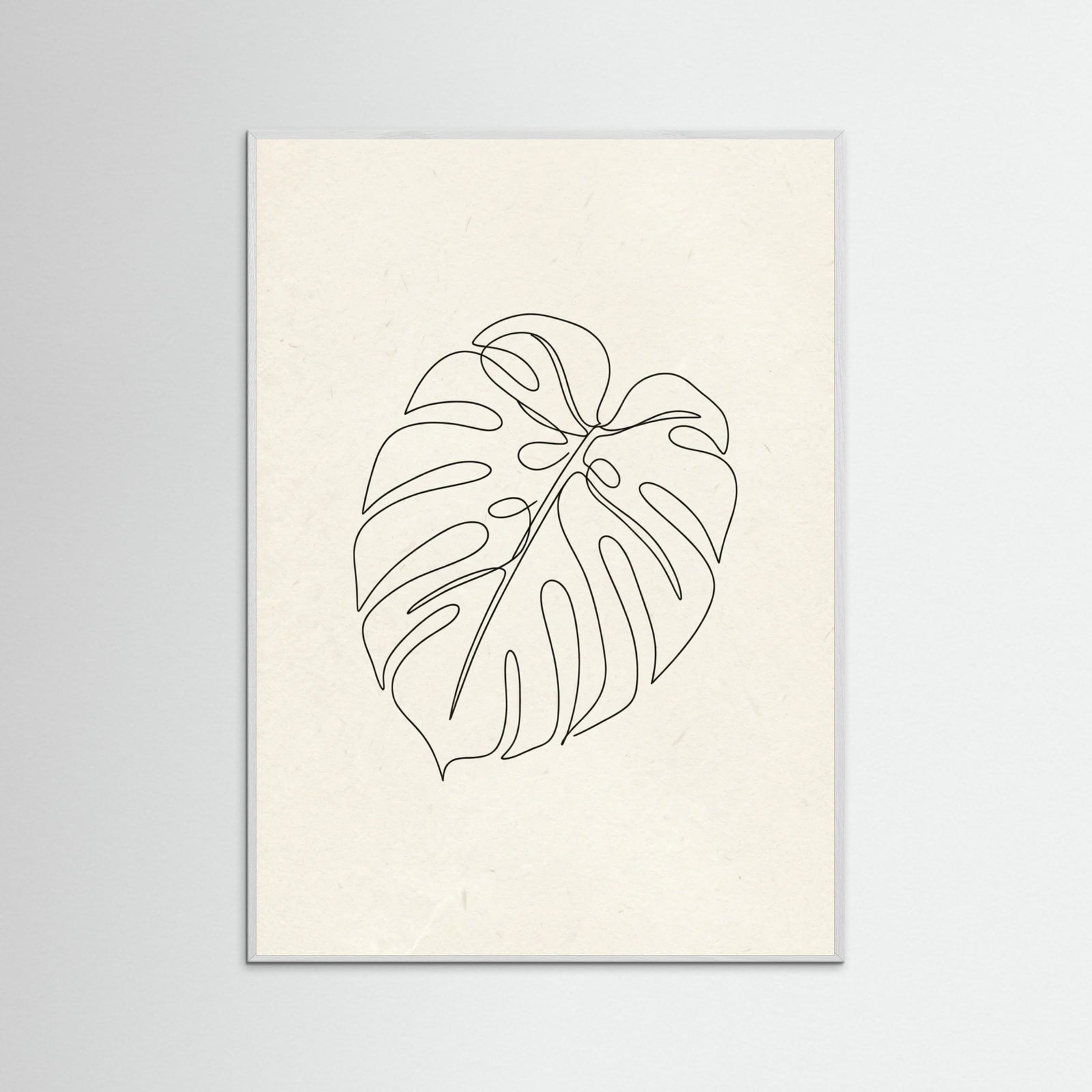 White Wood Contour Gaze
