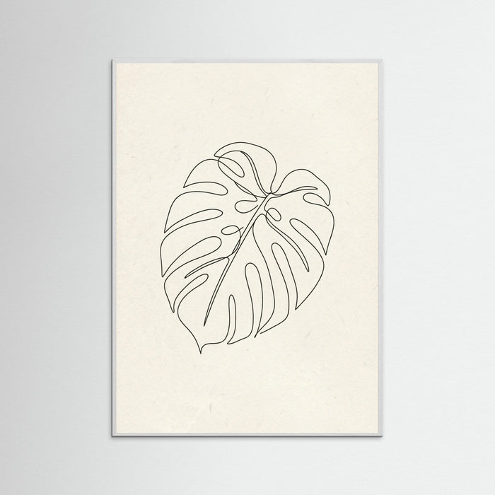 White Wood Contour Gaze