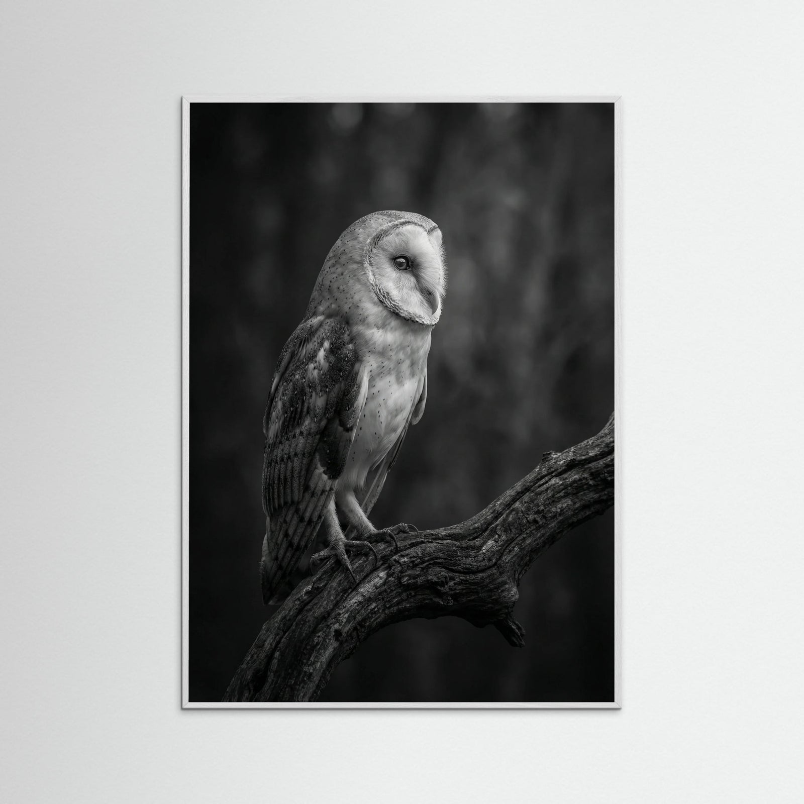 White Wood Contrasting Companions