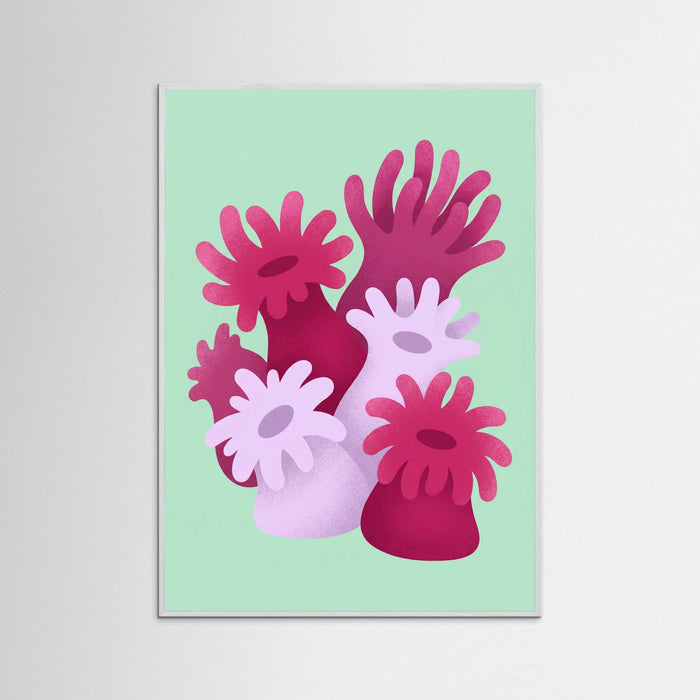 White Wood Coral Bloom