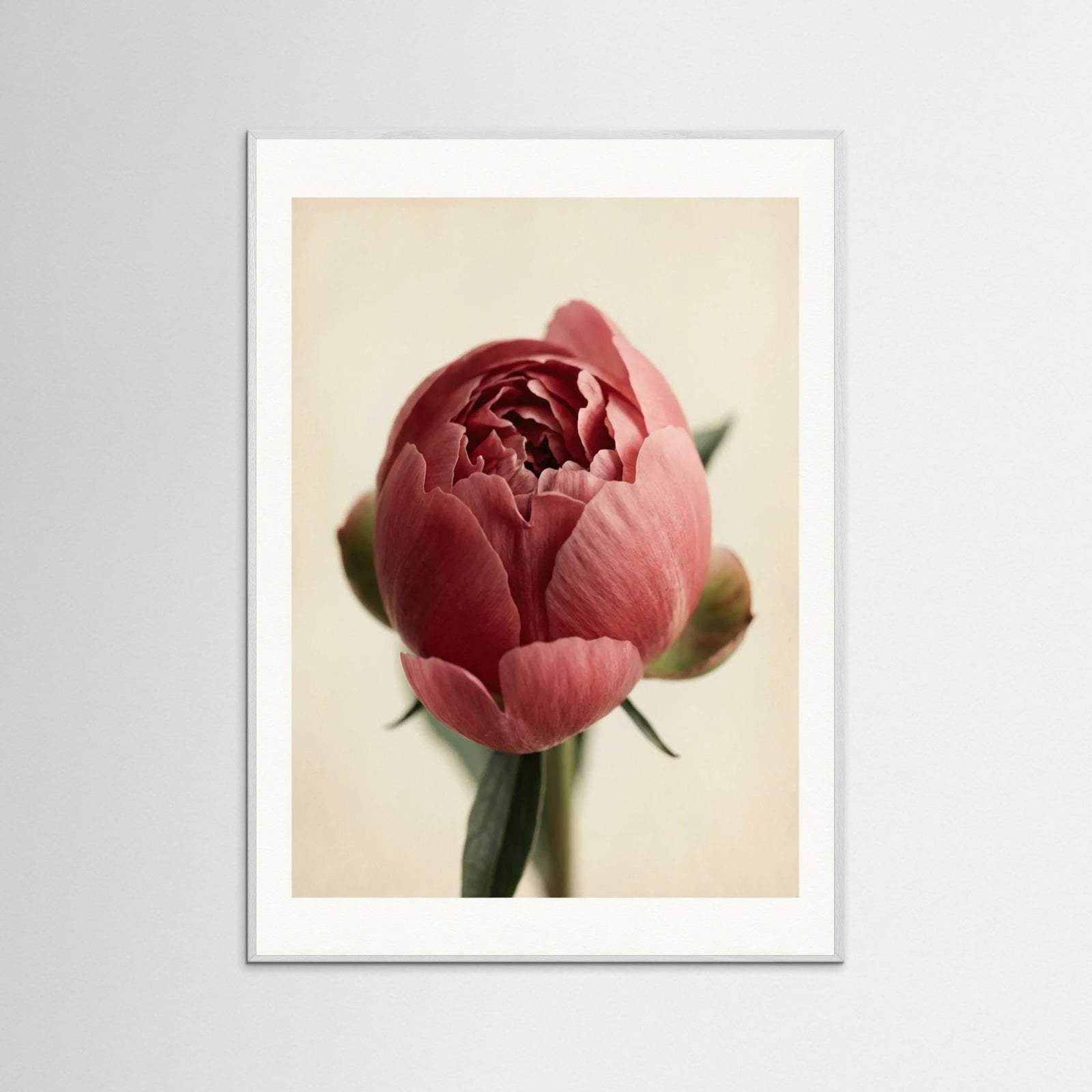 White Wood Crimson Trio