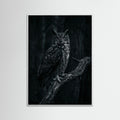 White Wood Dark Congregation