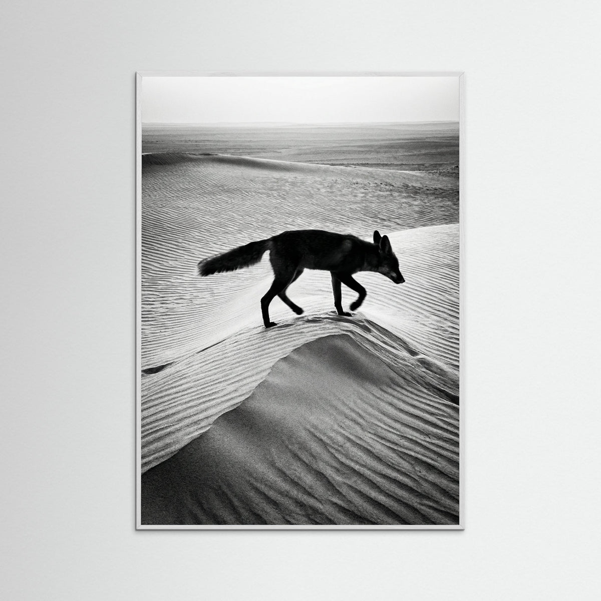 White Wood Desert Spirit