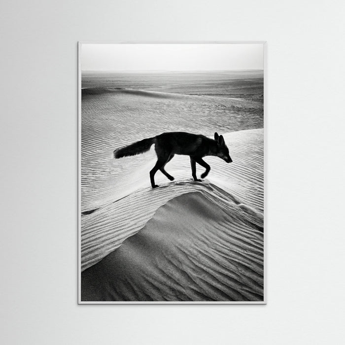 White Wood Desert Spirit