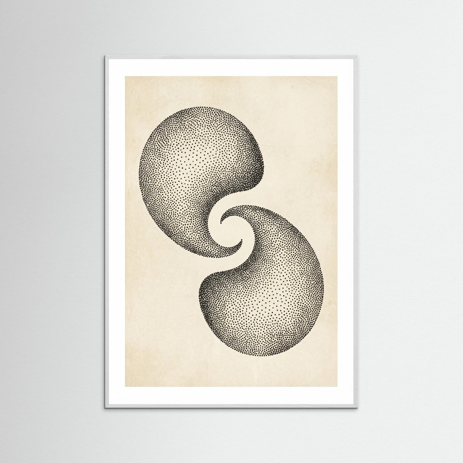 White Wood Dotted Cosmos