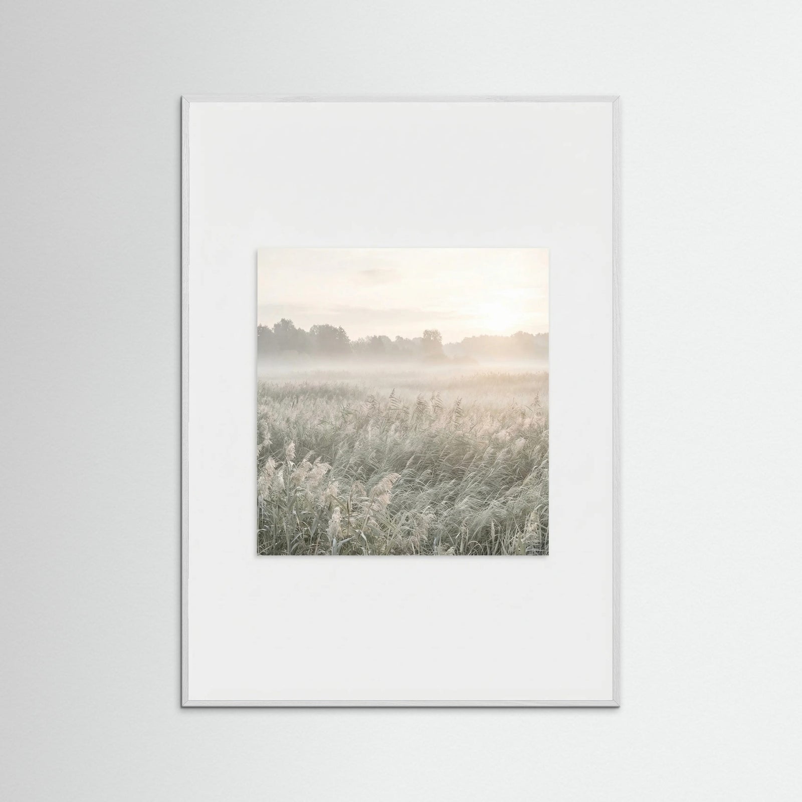 White Wood Dune Sunset Serenity