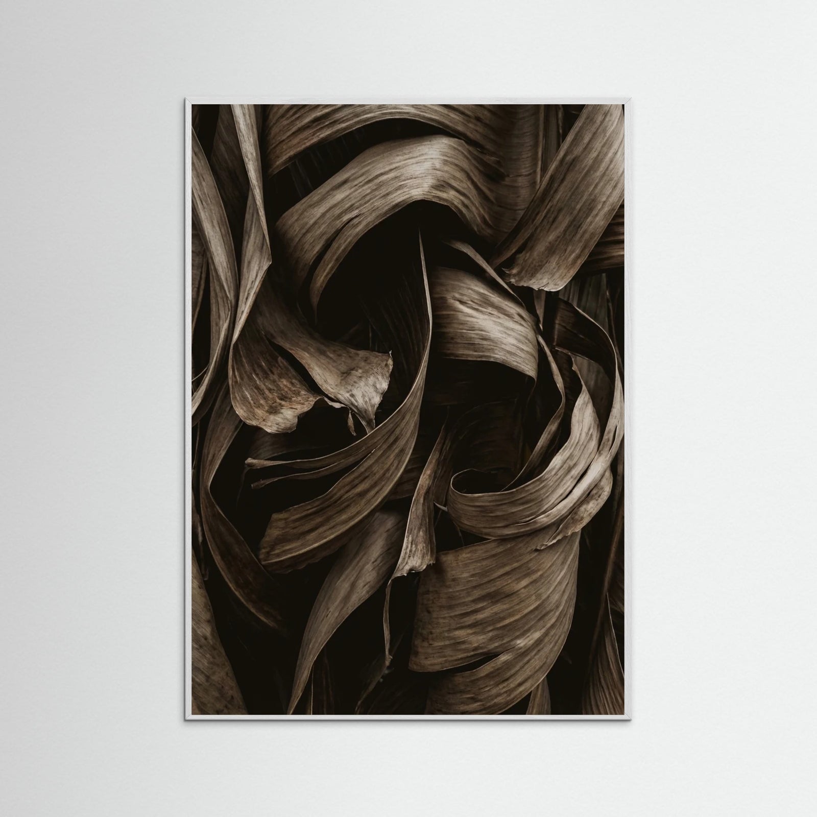 White Wood Earthen Strands