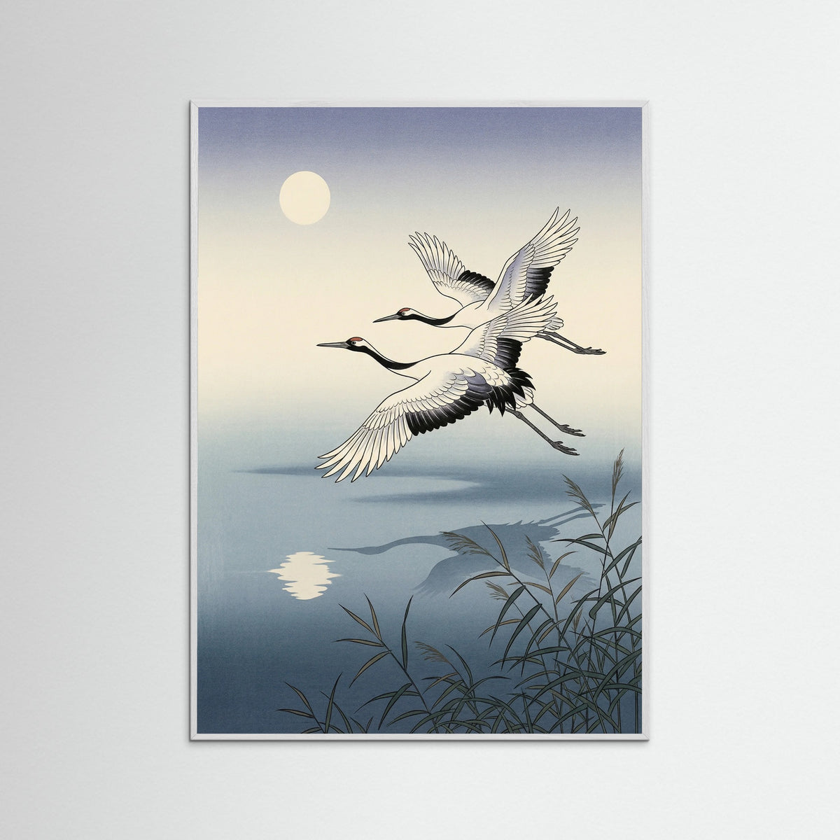 White Wood Elegant Peacocks Perched