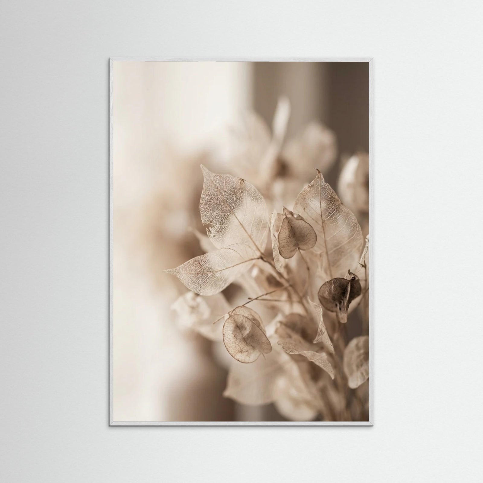 White Wood Ephemeral Bloom