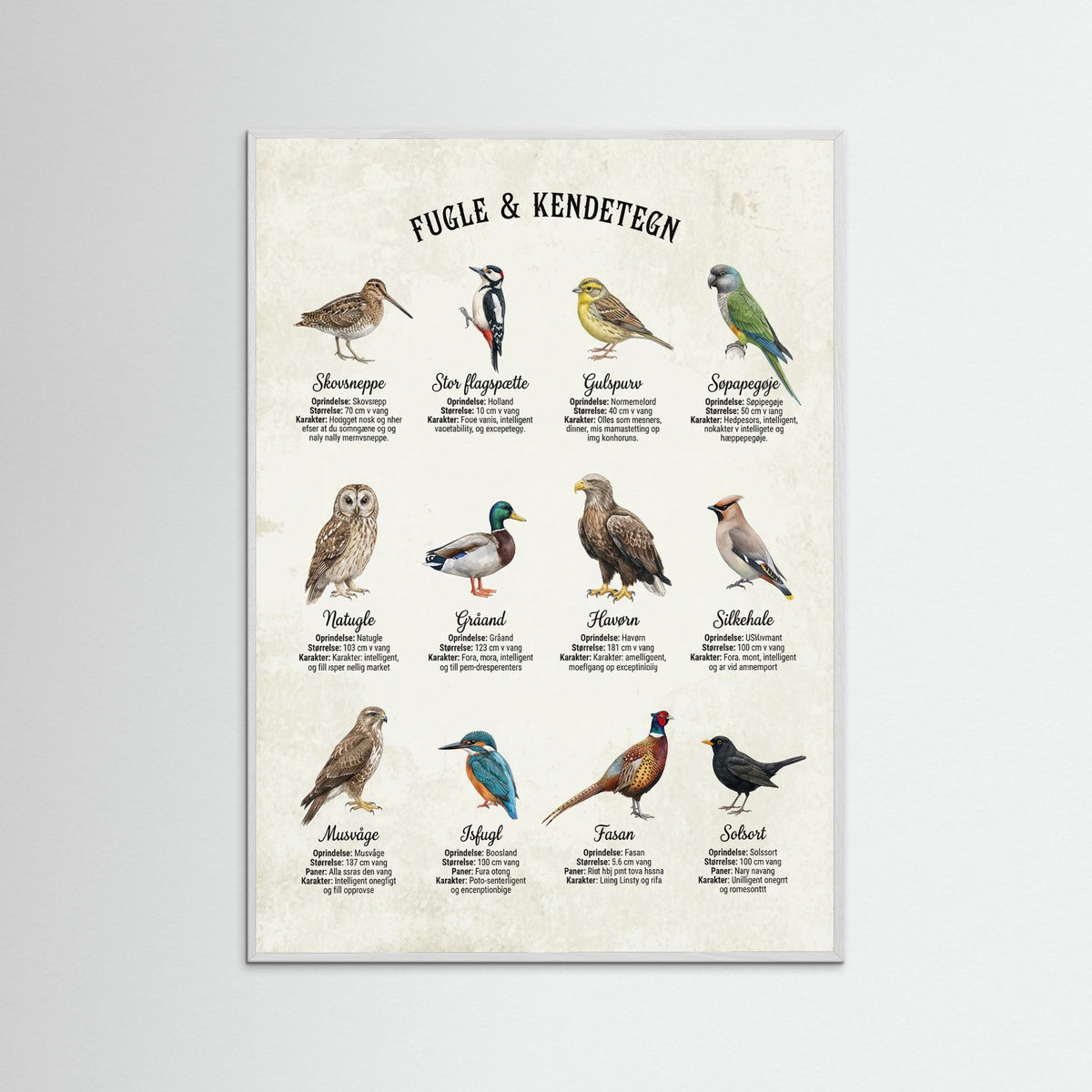 White Wood Equine Breed Guide