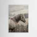 White Wood Equine Companions