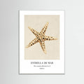 Affiche Estrella De Mar – affiche et impression d’art