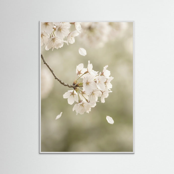 White Wood Ethereal Bloom White