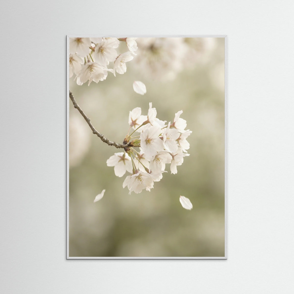 White Wood Ethereal Bloom