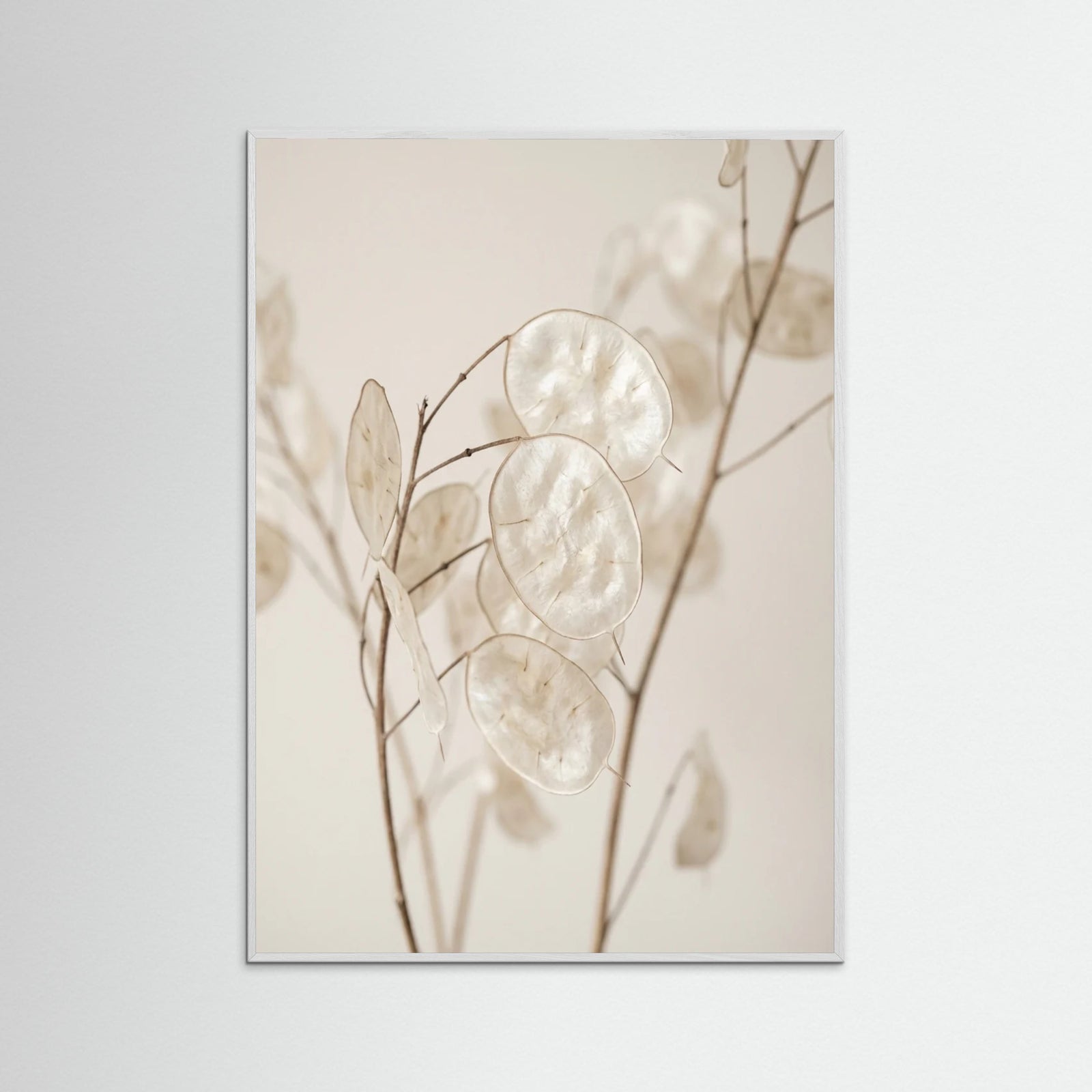 White Wood Ethereal Plumes