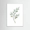 White Wood Eucalyptus Serenity